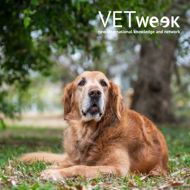 Design uden navn (17)